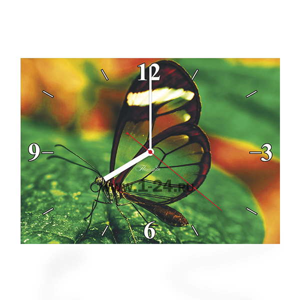 Настенные часы Прозрачная бабочка, двойные со стеклом – купить по цене 1045 руб.