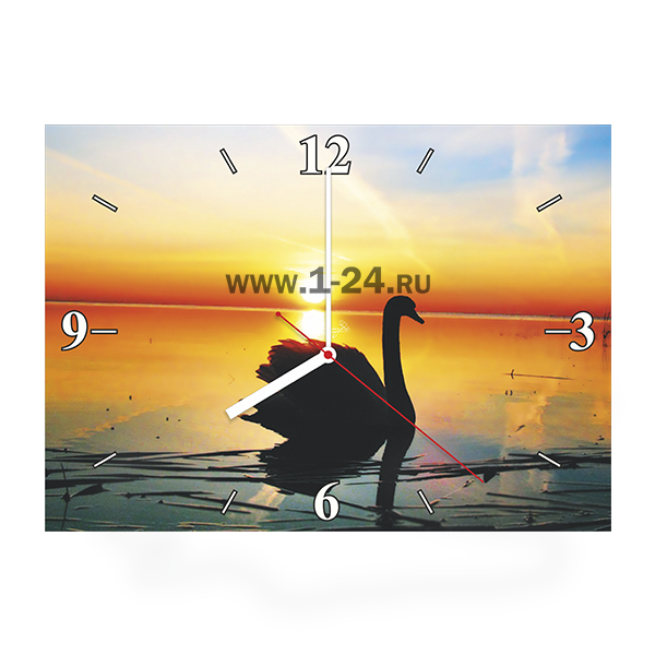 Настенные часы Лебедь, двойные со стеклом – купить по цене 1045 руб.