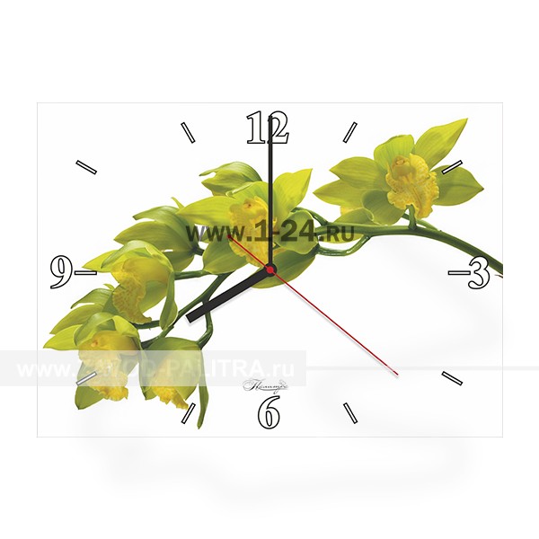 Настенные часы Ветвь, двойные со стеклом – купить по цене 1045 руб.