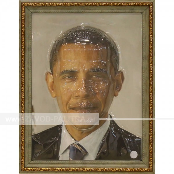 Купить Портрет 3D Президент США Обама Б.,тактильный по цене 9009 руб.
