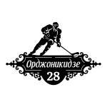 Табличка домовая "Хоккеист", авторская, 497x750 мм