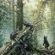 Картина 3D «Утро в сосновом лесу», тактильная – вид товара 3