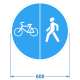 Дорожный знак 4.5.4. "Пешеходная и велосипедная дорожка с разделением движ" – вид товара 1