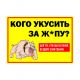 Табличка "Для тех, кто еще не понял: во дворе злая собака!" PVC 3мм – вид товара 1
