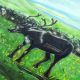Картина 2D «Пастух», тактильная – вид товара 4